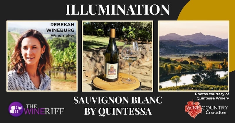 Illumination Sauvignon Blanc banner